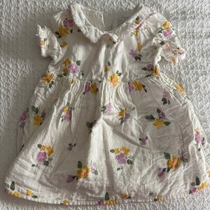 Adorable Cat & Jack Floral Baby Dress w/ Peter Pan Collar